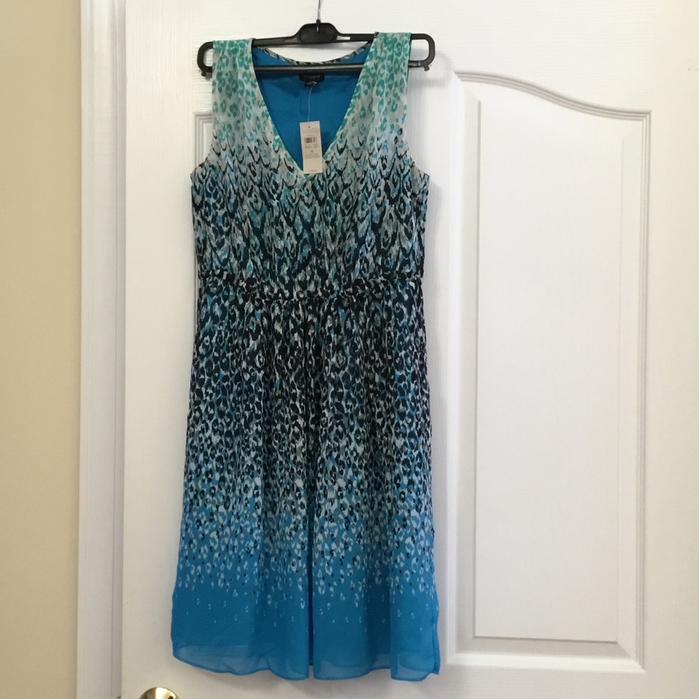 Sleeveless Dress, New with Tags